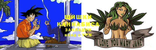 хмурый Абаза