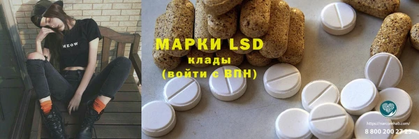 хмурый Абаза