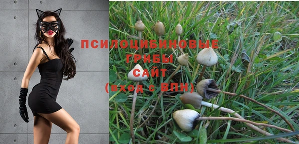 spice Абдулино