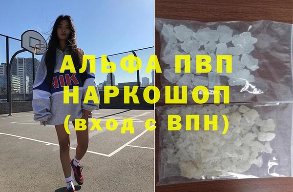 хмурый Абаза
