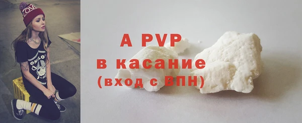 хмурый Абаза