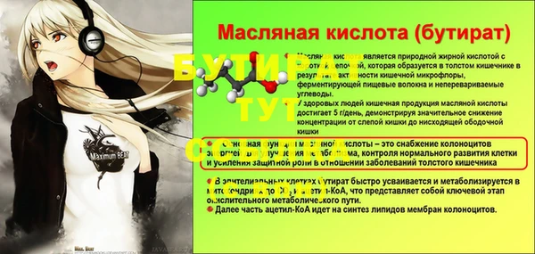 хмурый Абаза