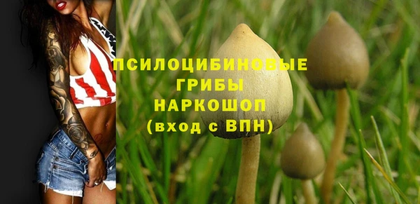 a pvp Абинск