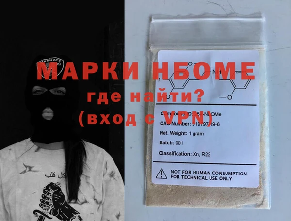 хмурый Абаза