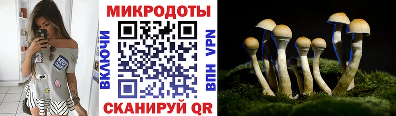Псилоцибиновые грибы прущие грибы  дарнет шоп  OMG как зайти  Брюховецкая 
